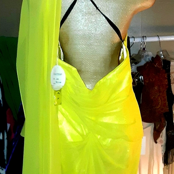 SOLD YESTERDAY Alyce paris PLUS SIZE DRESS - Picture 5 of 11